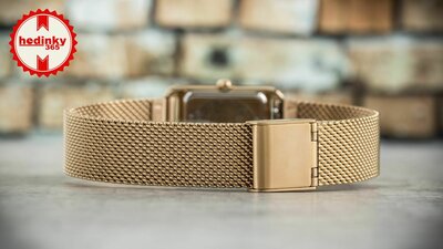 Citizen Elegant Eco-Drive EW5593-64D (+ replacement strap)