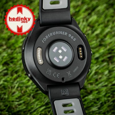 Garmin Forerunner 965 Black / Powder Gray