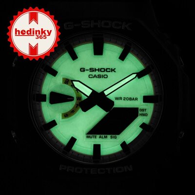 Casio G-Shock Original GA-2100HD-8AER