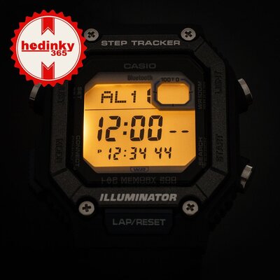 Casio Collection WS-B1000-1AVEF