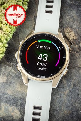 Garmin Fenix 8 AMOLED 43 mm, Sapphire Soft Gold Stainless Steel Fog Gray