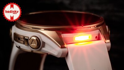 Garmin Fenix 8 AMOLED 43 mm, Sapphire Soft Gold Stainless Steel Fog Gray