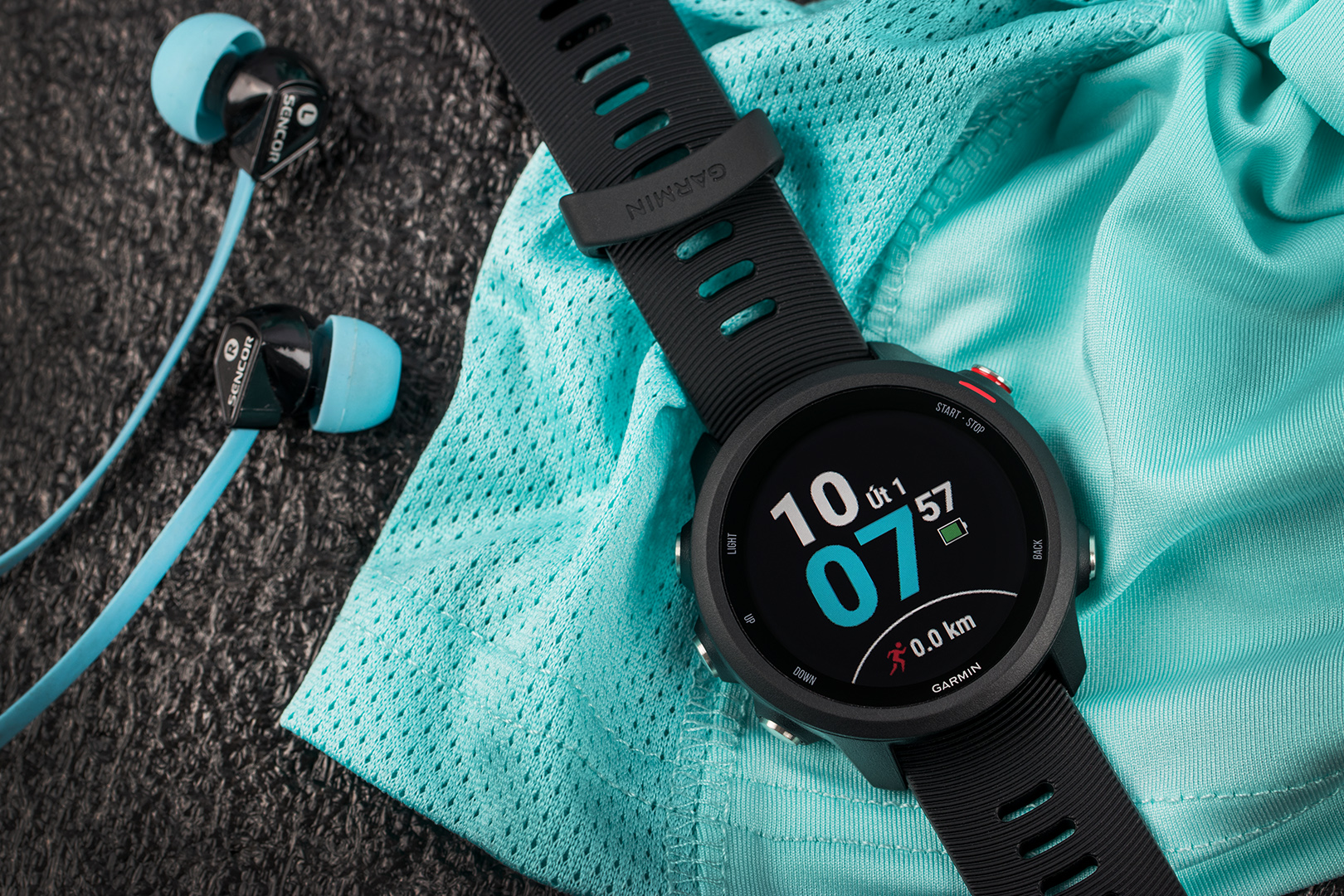 garmin 365 music