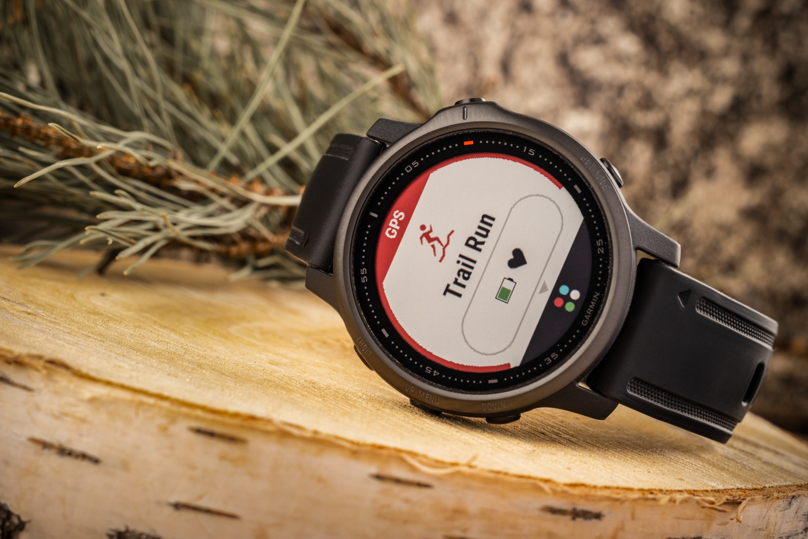 garmin 6s pro